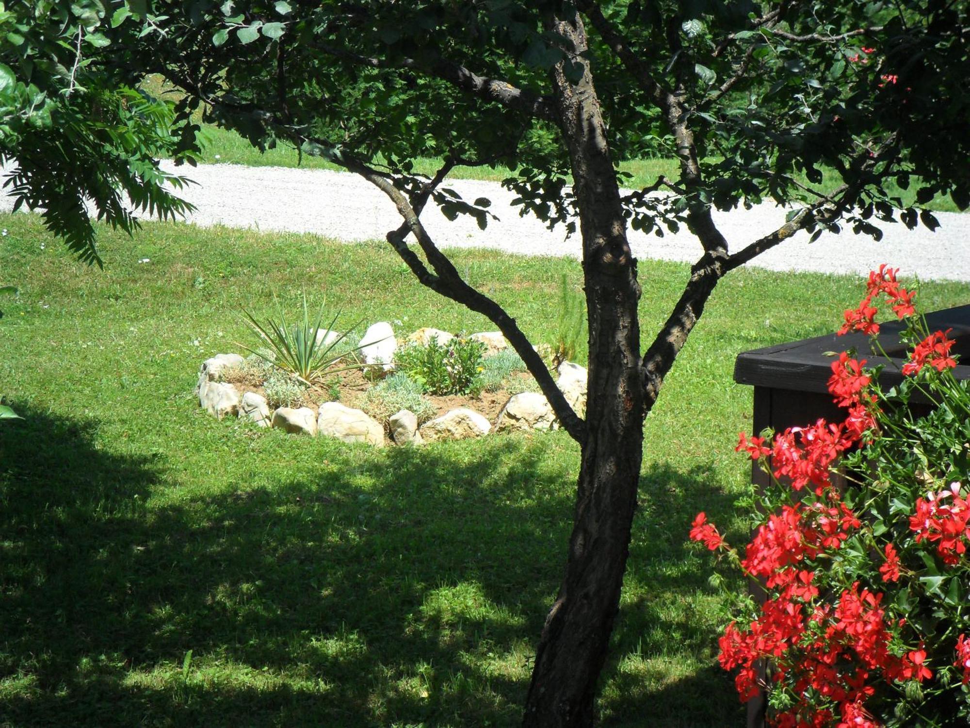 Guest Accommodation Marko Kesic Grabovac  Luaran gambar