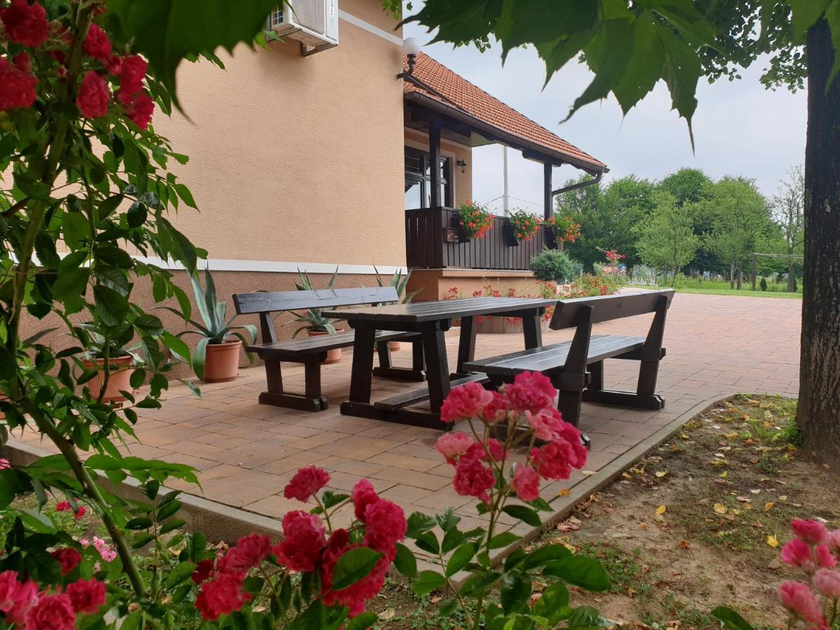 Guest Accommodation Marko Kesic Grabovac  Luaran gambar